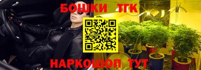МДПВ Рузаевка